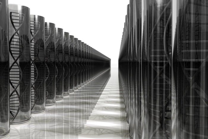 General Test Battery - Outplacement Services Sydney