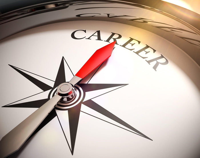 Career Coaching Level 2 - Outplacement Services Sydney